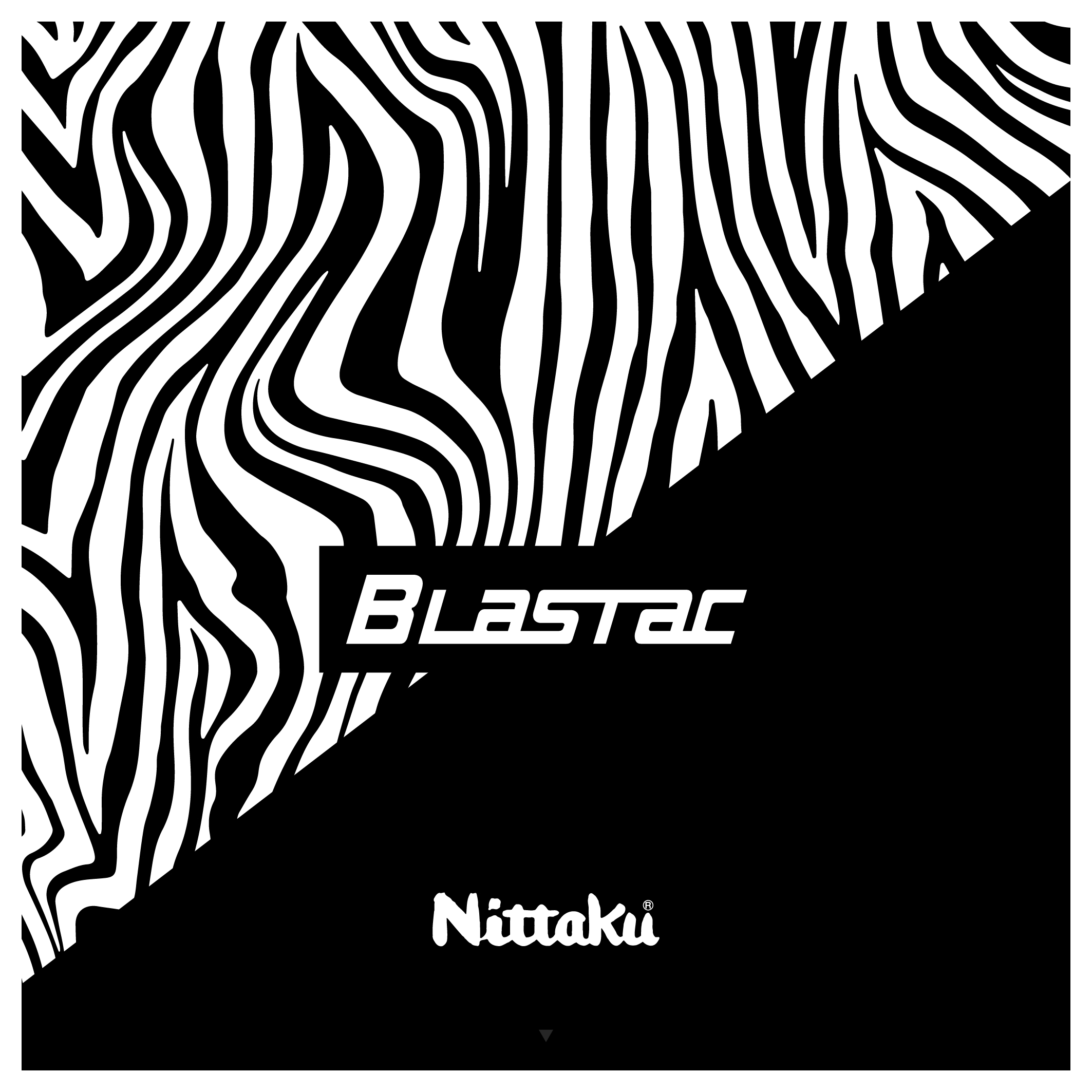 ブラスタックシート（１枚入）